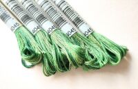 DMC Mouliné Color Variations 4045 Dark green