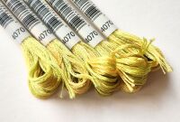 DMC Mouliné Color Variations 4070 Yellow green