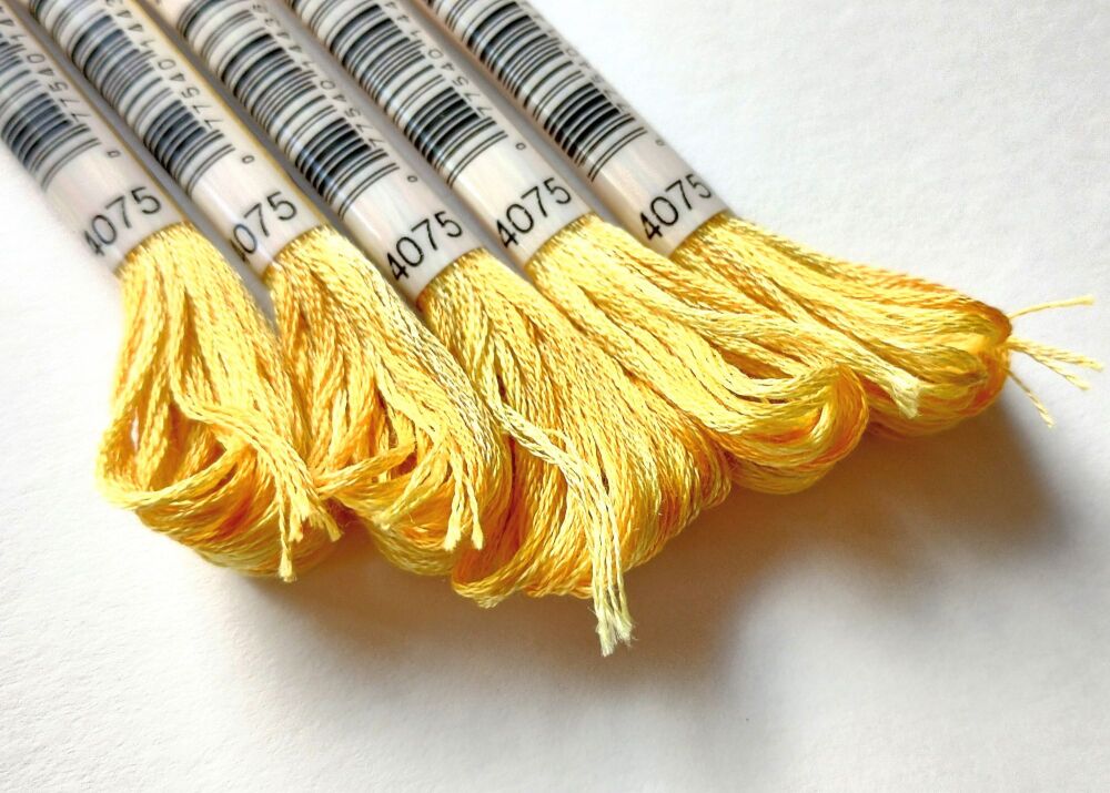 DMC Mouliné Color Variations 4075 Yellow