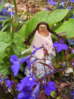 Peggy in the garden