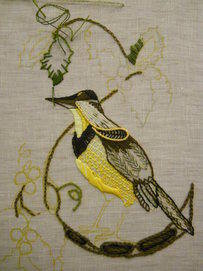 Western meadow lark in progress