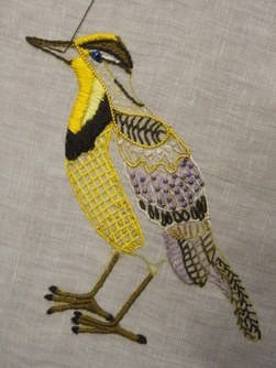 Western meadow lark in progress 2