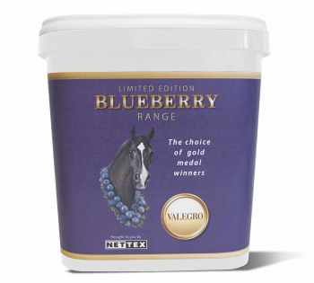 valegro_blueberry_bucket