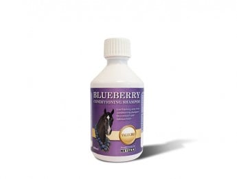 Blueberry_conditioning_shampoo