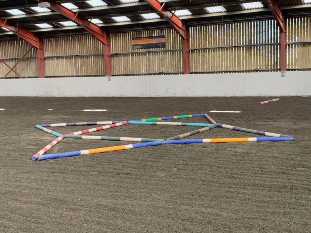 Flatwork & Poles Clinic at  Wynbury Stables