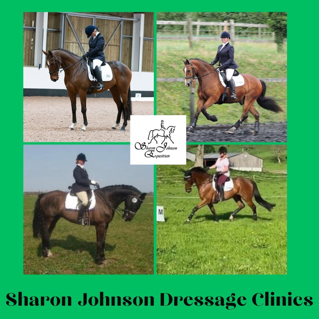 Dressage Clinic at Croft Livery and Events, DN14 0DF