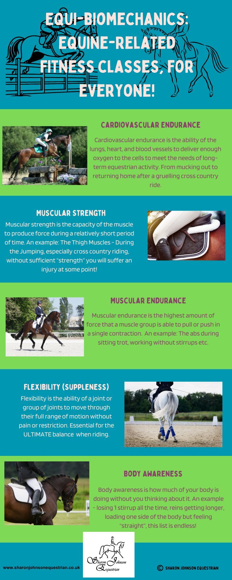 Equi-Biomechanics, Rider Fitness Classes