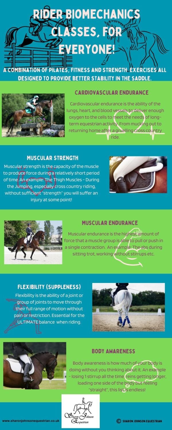 Rider Biomechanics Poster