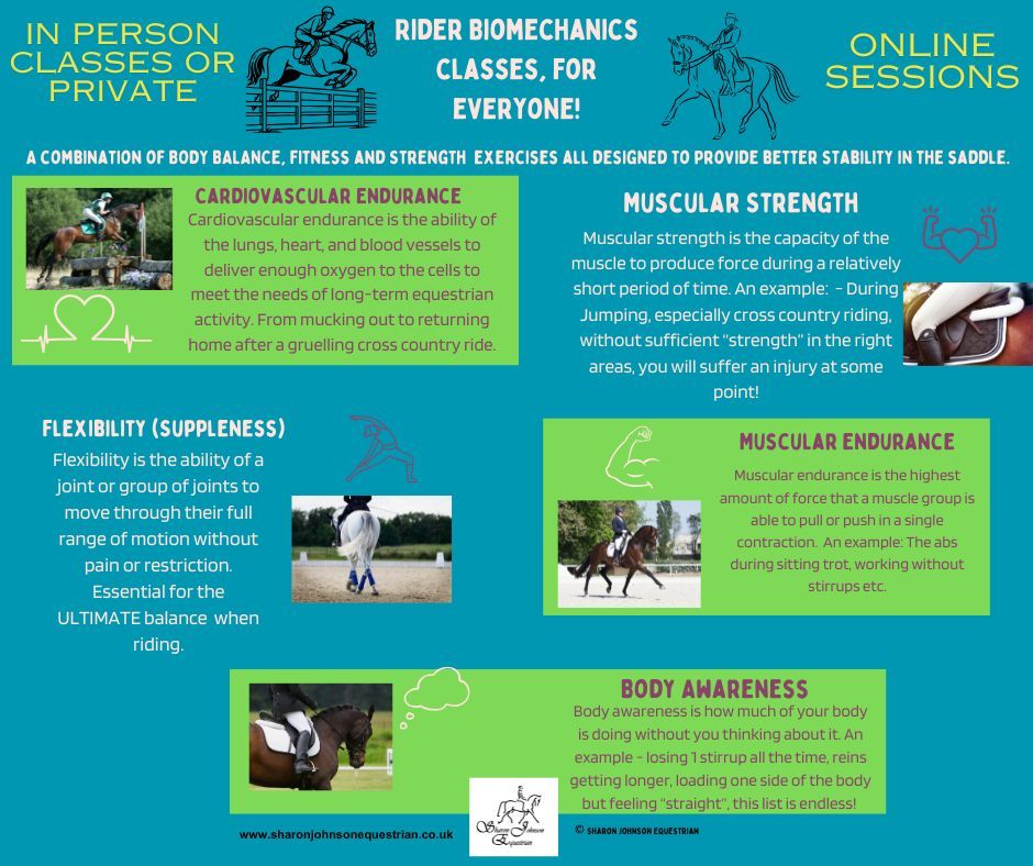Purple and Brown Illustrated Physical Education Health-Related Fitness Info