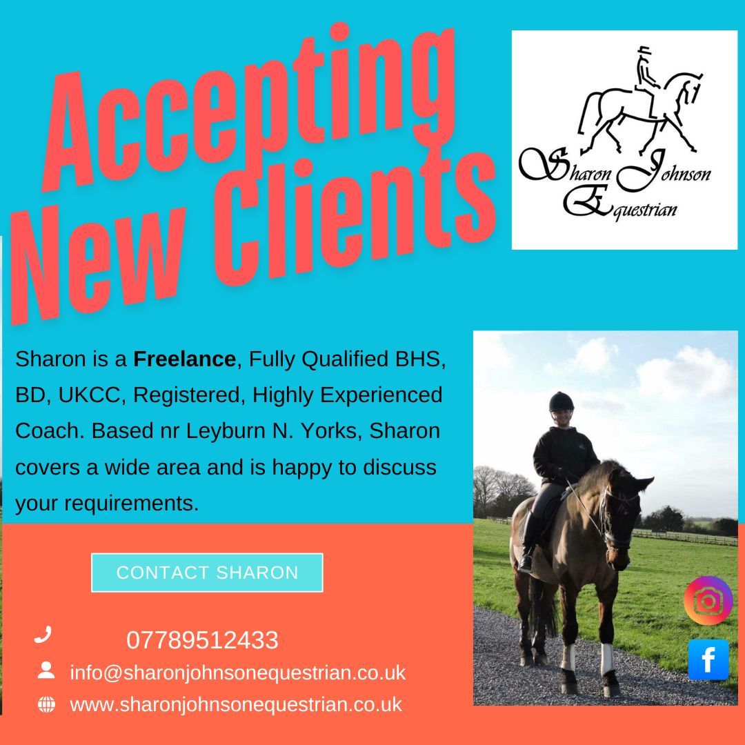 Green and White Minimalist Horse Riding Lessons Instagram Post (2)
