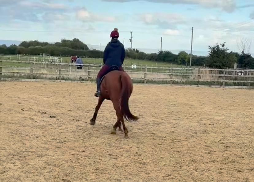 lateral work