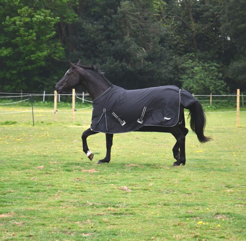 Bolivia Lightweight 0g No Fill Turnout Rugs - Rhinegold