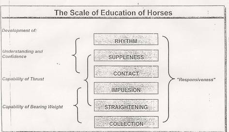 Scales of training