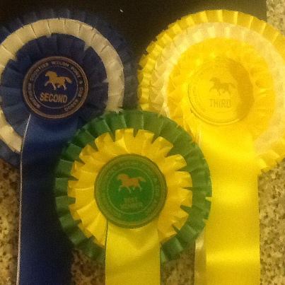 Rosettes from Sparsholt WPCA