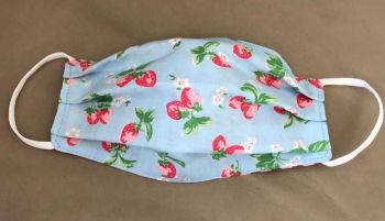 Adult's Handcrafted Reusable Washable Fabric Face Mask Covering Raising Money For Mind Cath Kidston Blue Strawberry & Red Gingham