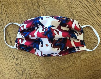 Adult's or Kid's Handcrafted Reusable Washable Fabric Face Mask Covering Raising Money For Mind Superman & Red
