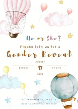 Personalised With Your Details - Customised Gender Reveal Celebration Invitation PDF Printable Pink & Blue Hot Air Balloon He Or She