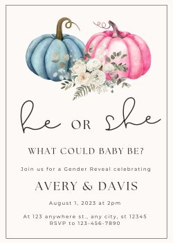 Personalised With Your Details - Customised Gender Reveal Celebration Invitation PDF Printable Pink & Blue Pumpkins He Or She