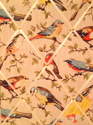 Medium 40x30cm Cath Kidston Garden Bird Hand Crafted Fabric Notice / Pin / Memo / Memory Board