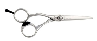 FX 5.5