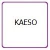 Kaeso Kits 