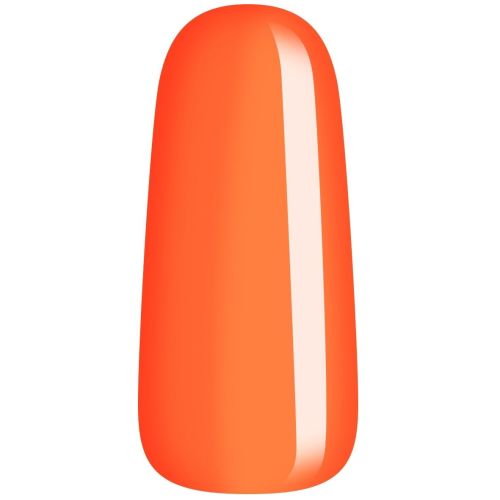 Pumpkin To Talk About 