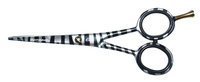 EVS Zebra