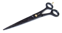 EVS Razor XL
