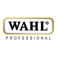 Wahl