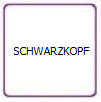 Schwarzkopf
