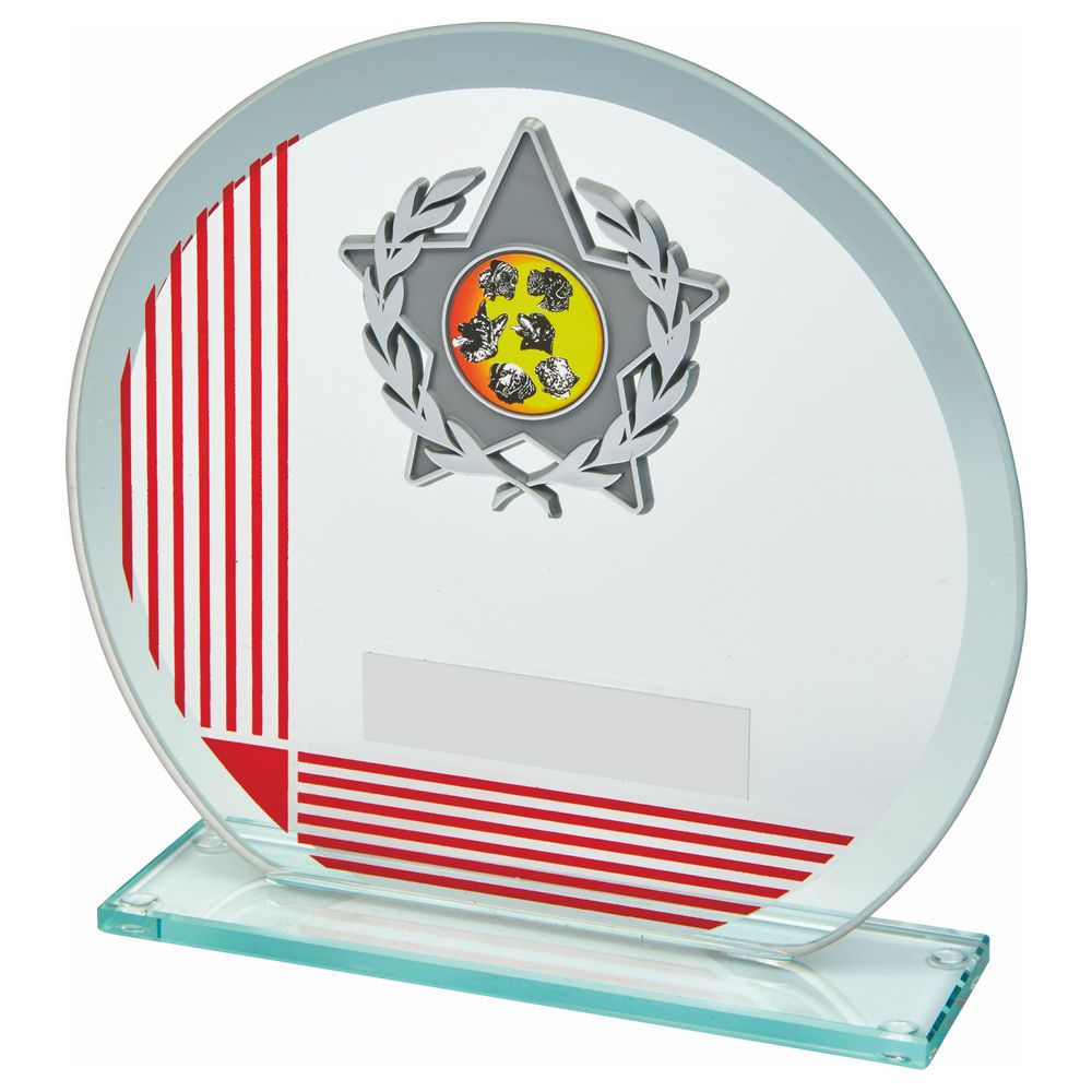 glass award