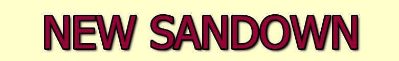 new sandown, site logo.