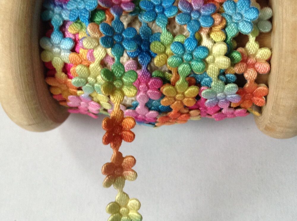 Rainbow Daisy Flower Braid
