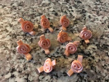 10 Plain Peach Ribbon Roses