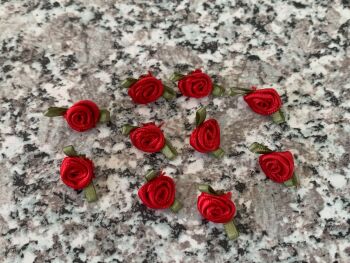 10 Red Ribbon Roses with Green Leaves