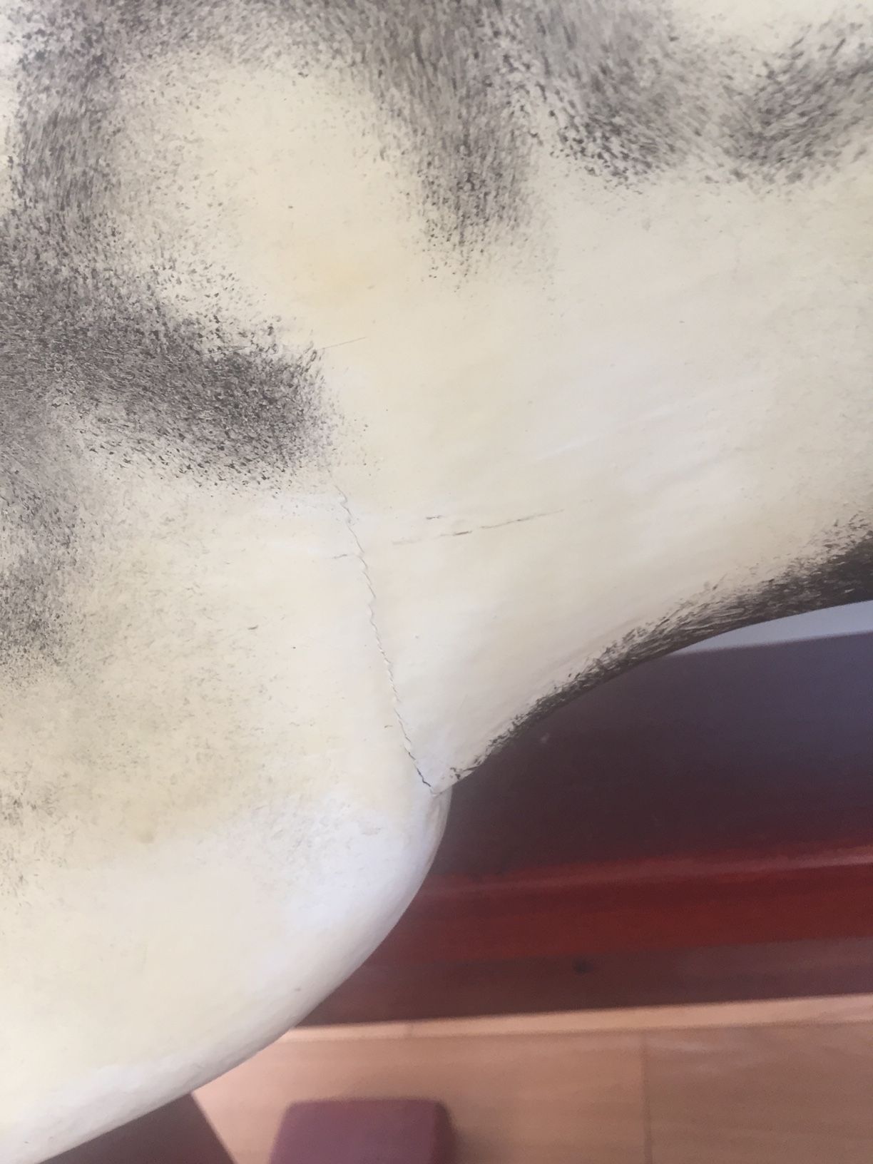 Large Collinson & Sons rocking horse for sale -Charlie