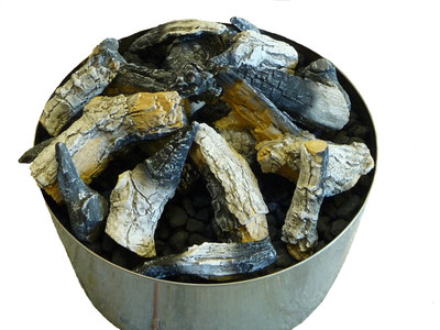 Silver Birch Log Set for Outdoor Gas Fire Pit