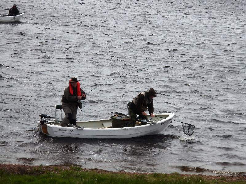 norrie miller into a fish with earlston aa