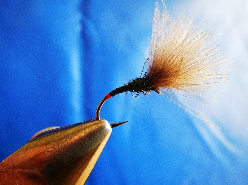 shuttlecock emerger