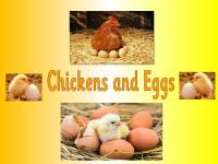 Life Cycles - Chickens and Eggs