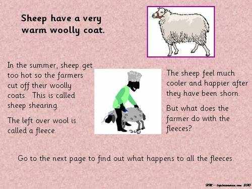 EYFS, KS1, SEN, cows, sheep topic resources, powerpoints