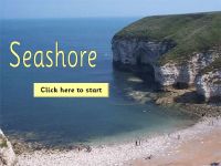 Seashore/Seaside Topic Pack