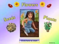 Plants, Flowers and Seeds Topic Pack