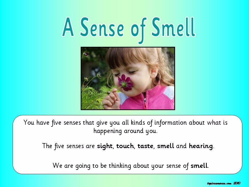 A Sense of Smell Topic