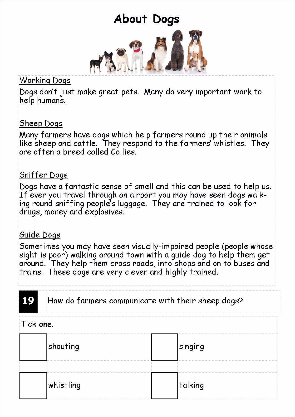KS1 Year 2 ! SATs Reading Comprehension Practice Papers