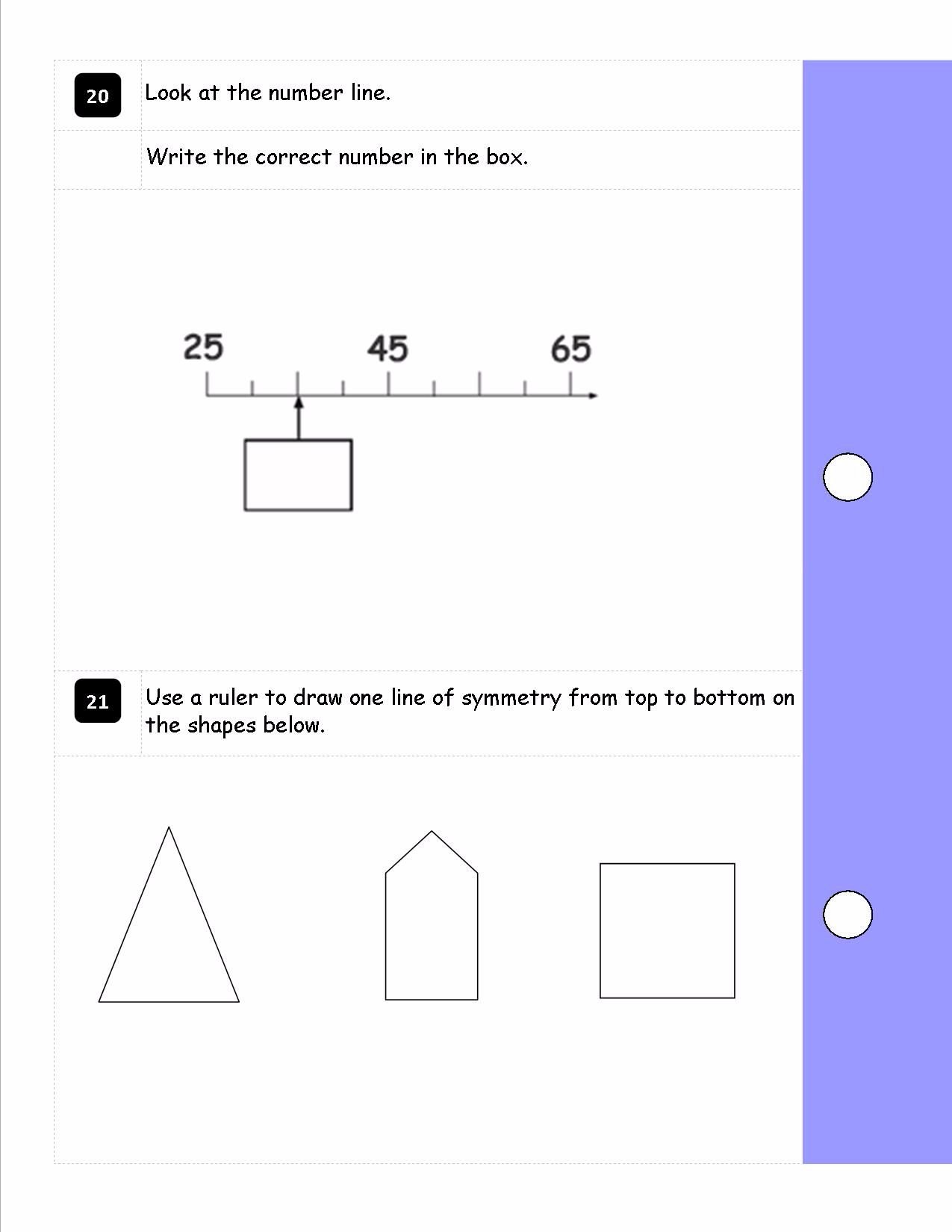 ks1-year-2-sats-style-reasoning-booklet-made-with-new-curriculum