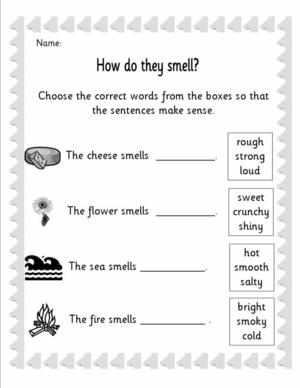 smell sense senses ks1 worksheets sentences topic