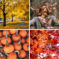 Autumn  Changes Topic Pack