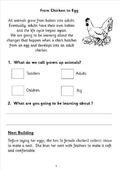 Differentiated Reading Instruction Worksheets and Activities