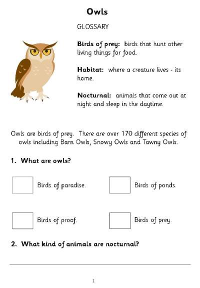 worksheet adaptations animal KS2, SATs SEN, EYFS, KS1, reading IPC,literacy,